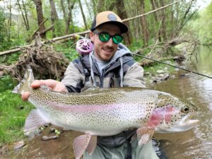 Grosse truite Arc en ciel à la mouche